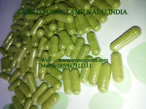Moringa Capsule Suppliers India